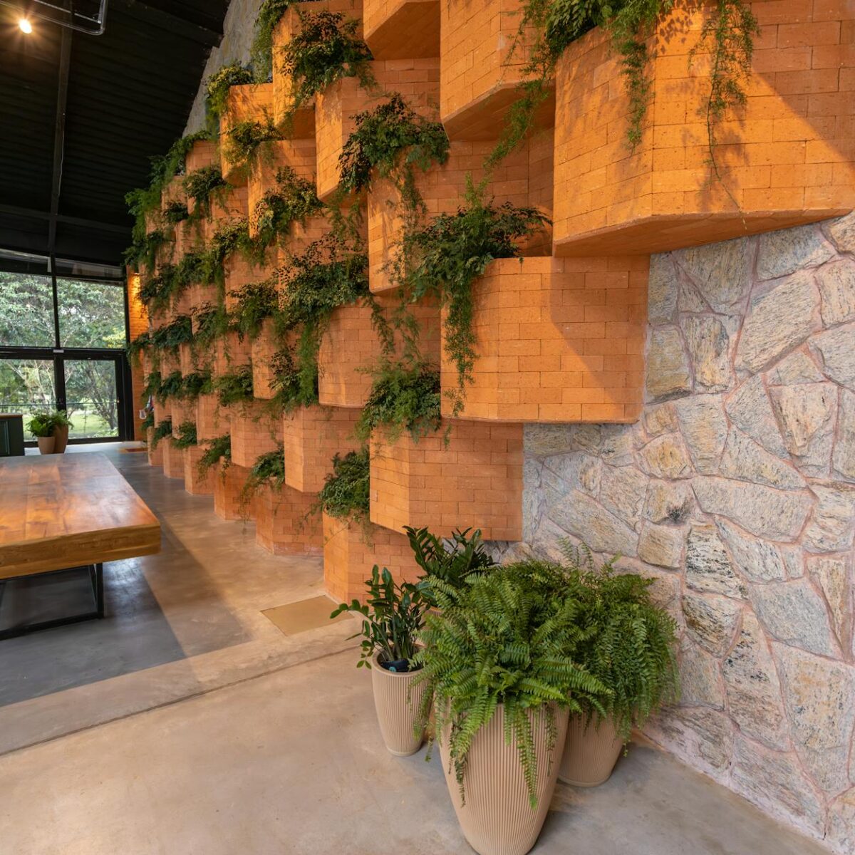 Para entender como o ambiente em que você vive molda sua saúde, o Design Biofílico propõe integrar elementos da natureza aos