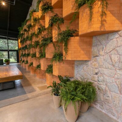 Para entender como o ambiente em que você vive molda sua saúde, o Design Biofílico propõe integrar elementos da natureza aos