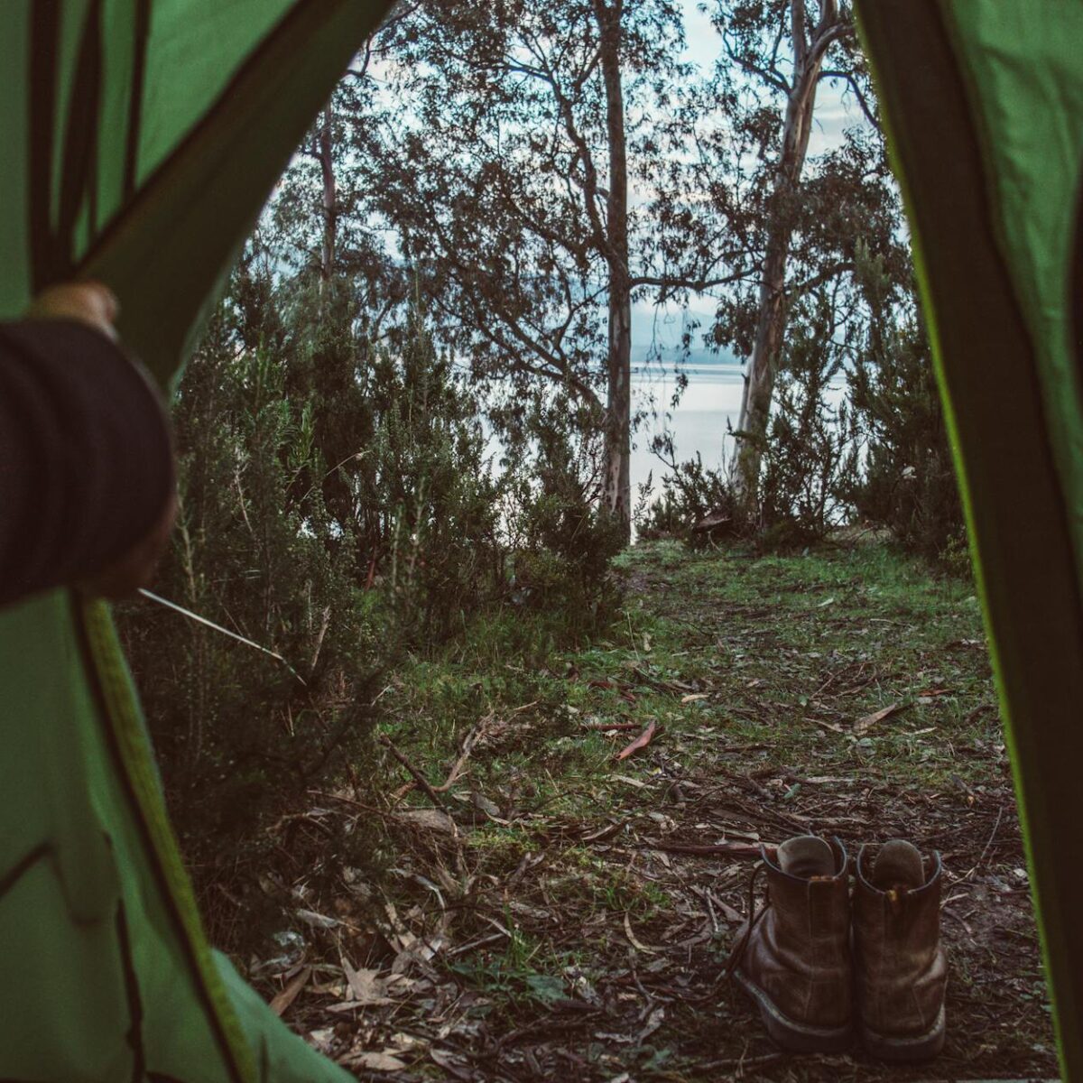 Para o minimalismo digital, limpando o excesso de informação para ter saúde mental, é fundamental adotar práticas conscientes