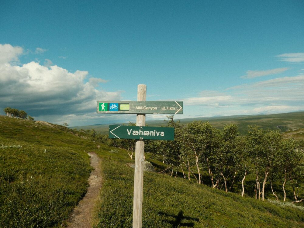 Pressão alta silenciosa: por que você deve medir regularmente.