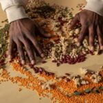 Para o comparativo nutricional entre proteína vegetal e animal para iniciantes, é essencial compreender que ambas são fontes