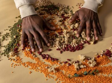 Para o comparativo nutricional entre proteína vegetal e animal para iniciantes, é essencial compreender que ambas são fontes