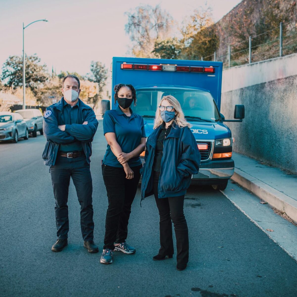 Para Telemedicina: quando usar e quando ir ao pronto-socorro presencial, a telemedicina é ideal para sintomas leves, dúvidas